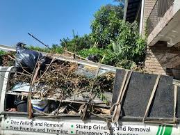 Shed Removal in Wakefield, VA